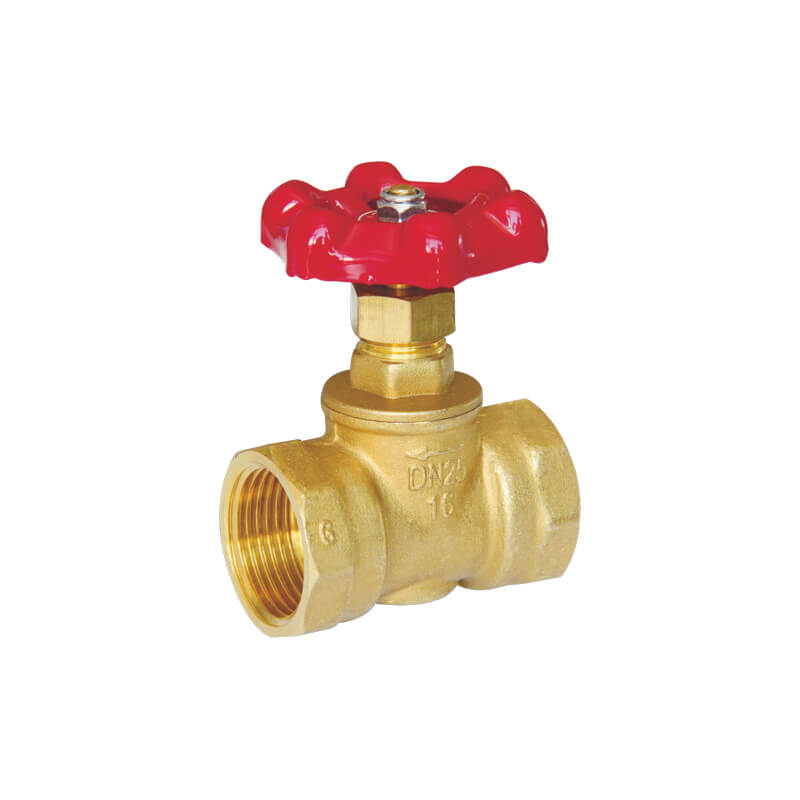 Brass Globe Valve
